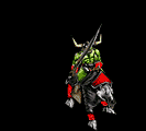 Raider